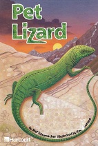 Pet Lizard